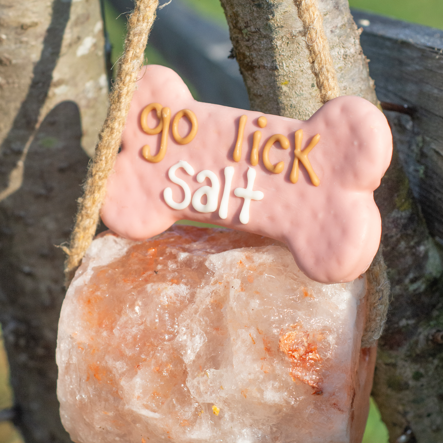 Go Lick Salt 6" Bone | Farm Fresh