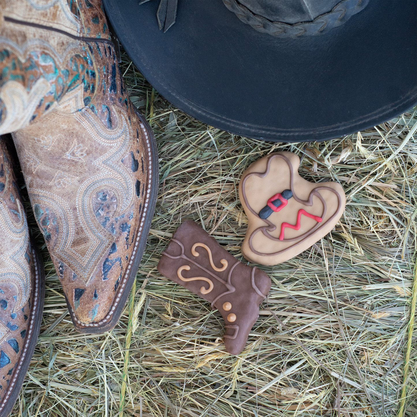 Equestrian Necessities | Farm Fresh