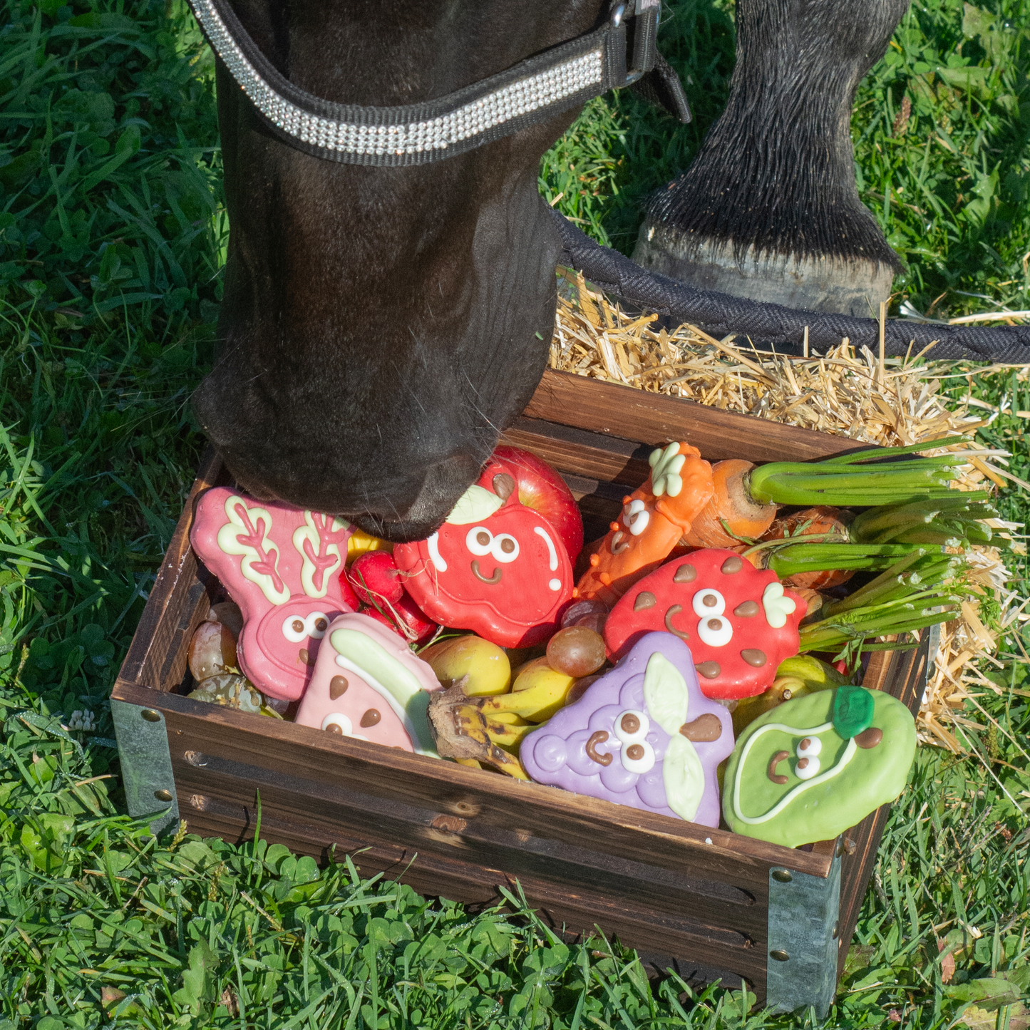 My Heart Beets for Horses | Farm Fresh