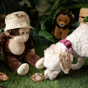 Slothaniel & Cheeky Chimp | Summer Sniff-ari & Sea