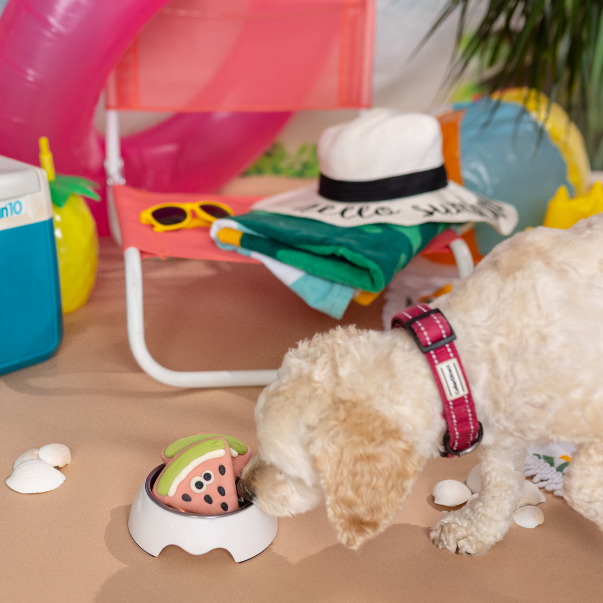 Sweetest Melon | Summer Sniff-ari & Sea