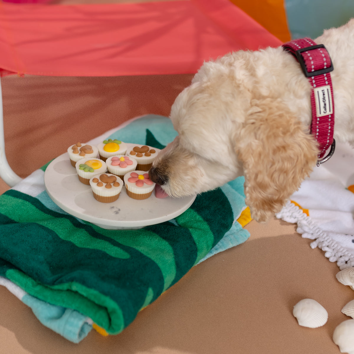 Peanut Butter Flavoured Treat Cups | Summer Sniff-ari & Sea