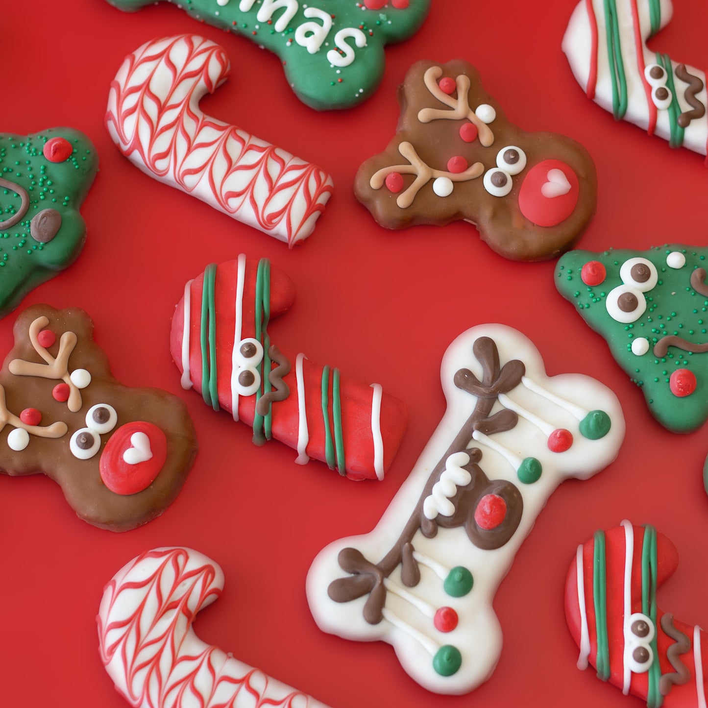 Striped & Confused Canes | Christmas