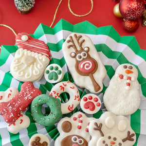 EXCLUSIVE Icy & Gingy | Christmas