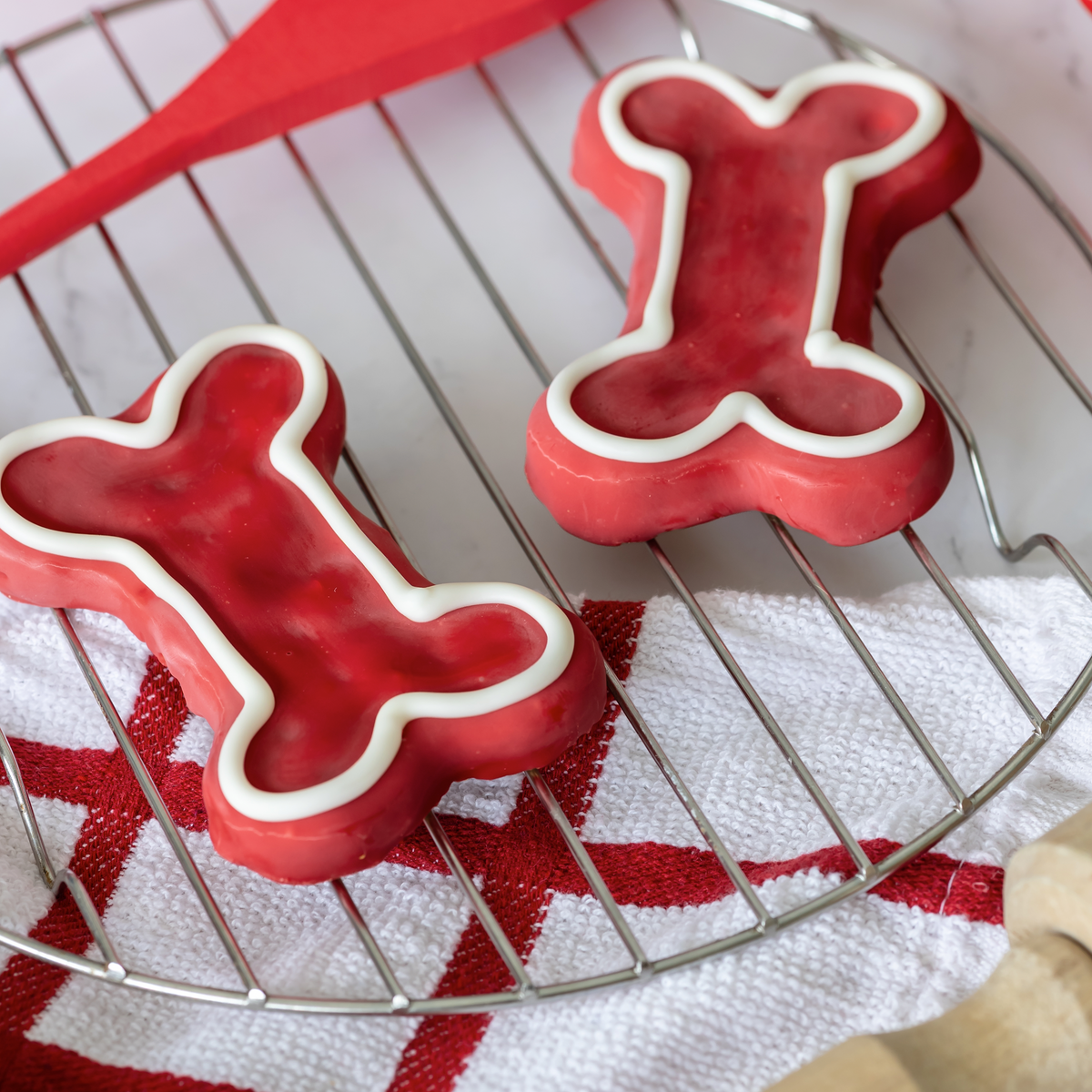 Bosco & Roxy's | Christmas 2026 | Bone-Humbug | 20/case