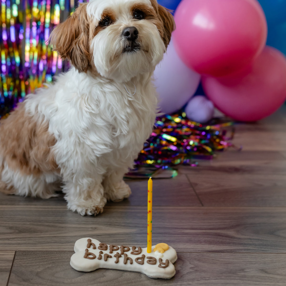 White Happy Birthday Bone | Natural Birthday