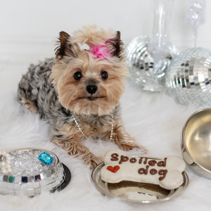 Spoiled Dog Bone | Natural Dog Thoughts