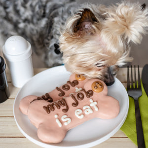 My Job is Eat Bone | Natural Dog Thoughts