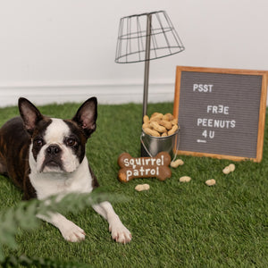 Squirrel Patrol Bone | Natural Dog Thoughts