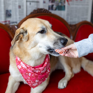 Berry Best Valentine | Valentine's Day