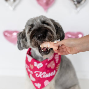 Smitten Bones | Valentine's Day