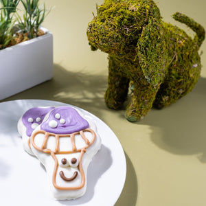 Smiling Funguy | Smile into Spring