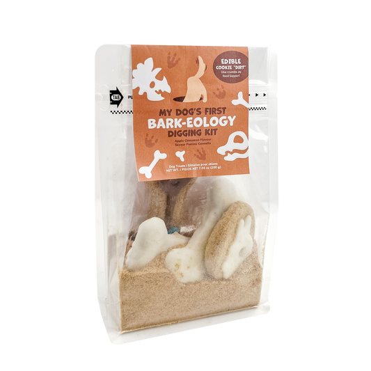 Prepackaged Bark-eology Kit | Dinosaurs