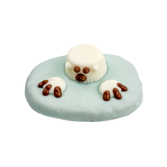 Glacier Glider  | Winter