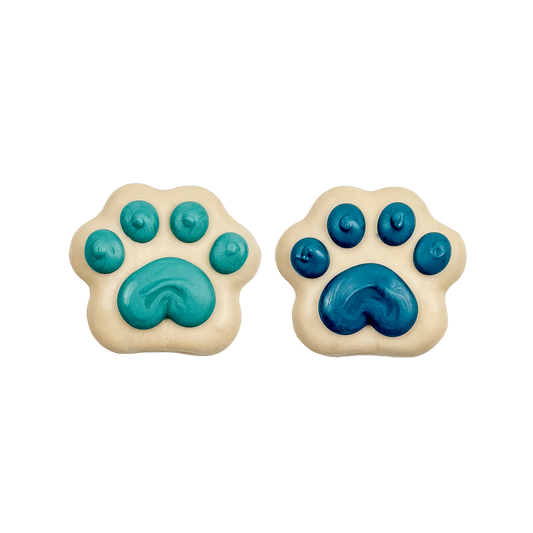 Paw Prints in the Snow | Winter