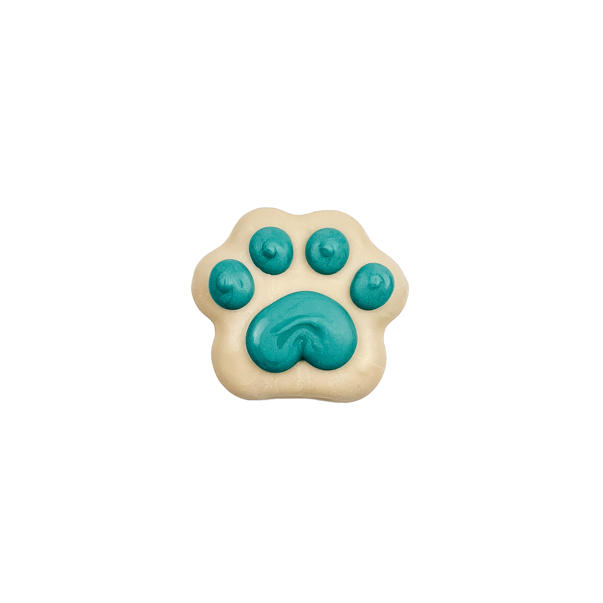 Paw Prints in the Snow | Winter