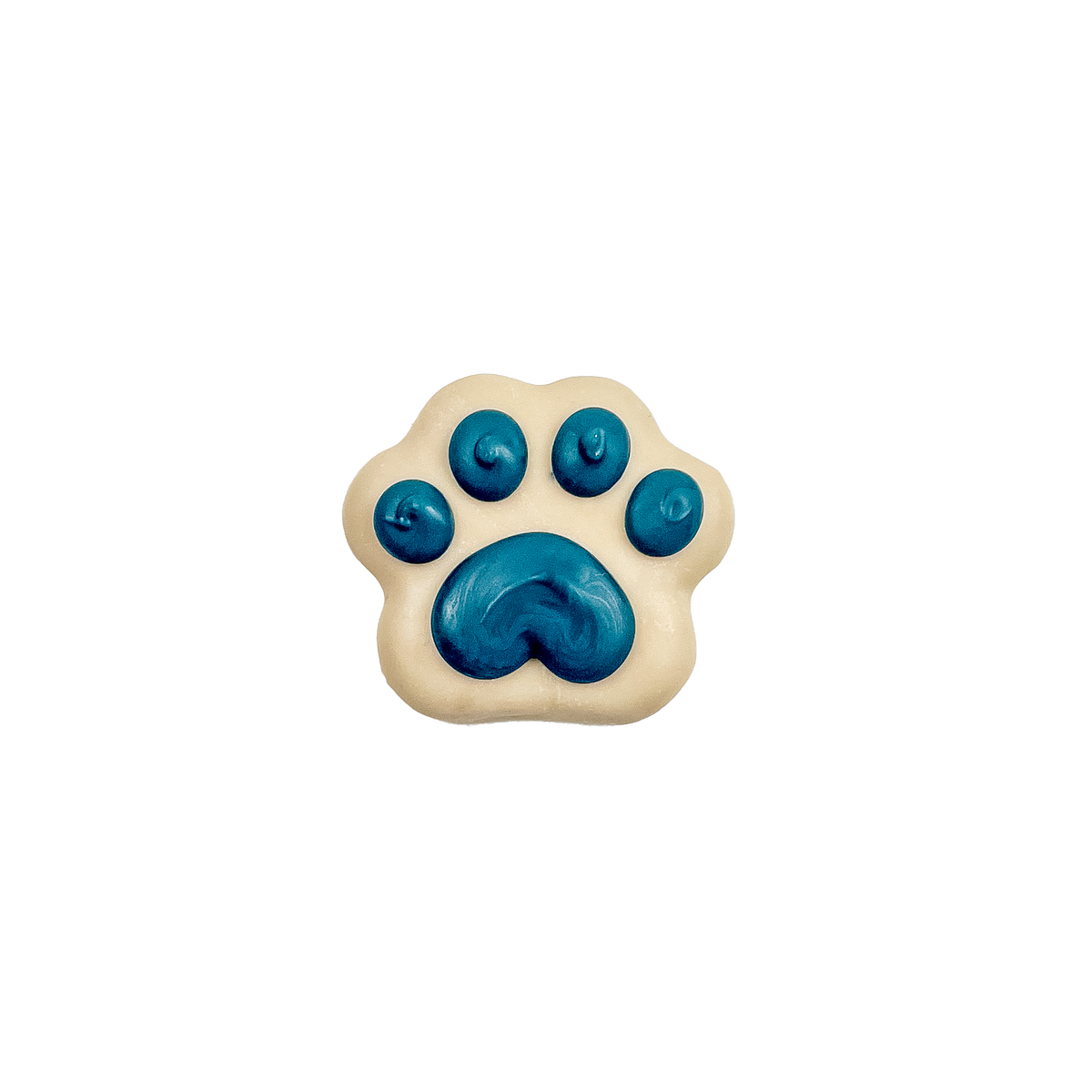 Paw Prints in the Snow | Winter