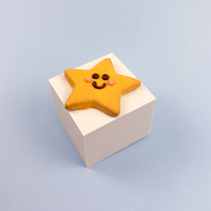 Starfish | Summer | Value