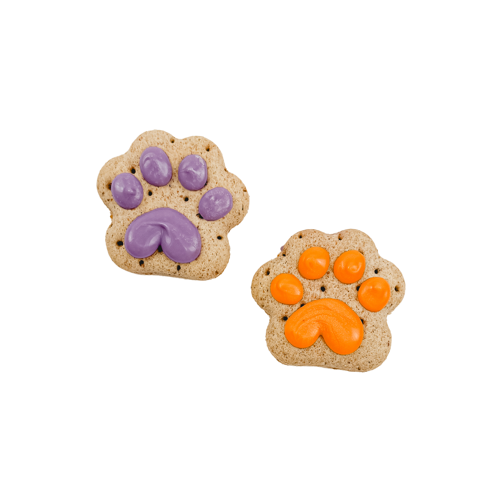 Let the Paw-nanigans Begin! | Natural Birthday