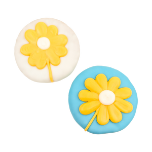 Lazy Daisies | Spring