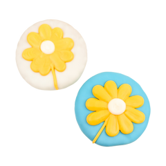 Lazy Daisies | Spring