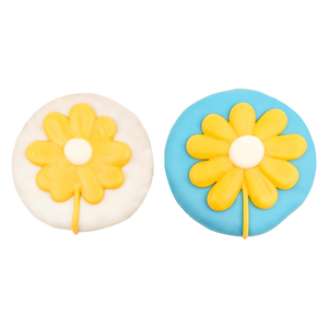 Lazy Daisies | Spring