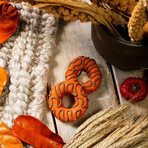Harvest Moon Donuts | Fall
