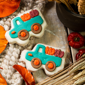 Gourds on the Go  | Fall