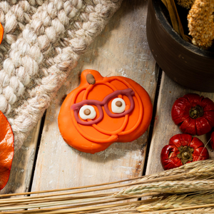 Pumpkins with Specs Appeal  | Fall
