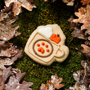 Pumpkin Spice & Everything Nice  | Fall