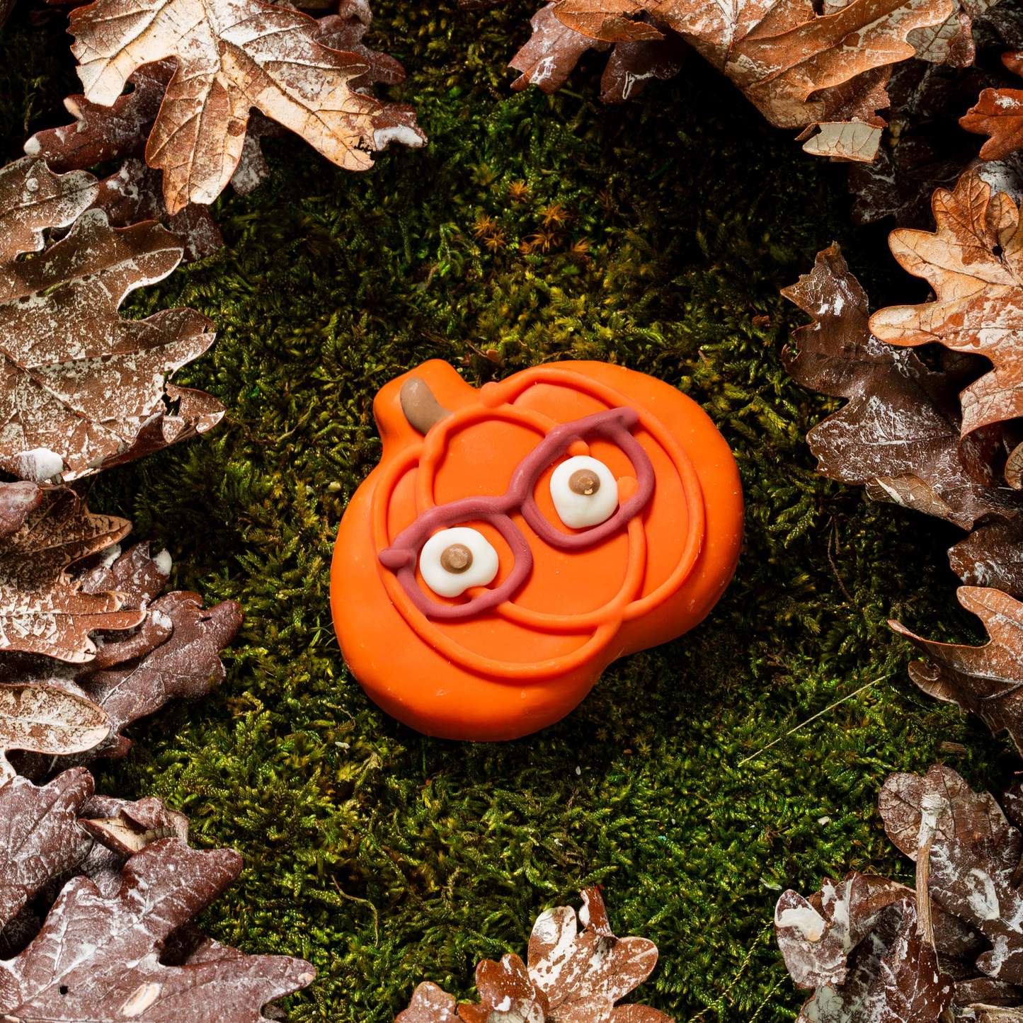 Pumpkins with Specs Appeal  | Fall