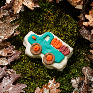 Gourds on the Go  | Fall