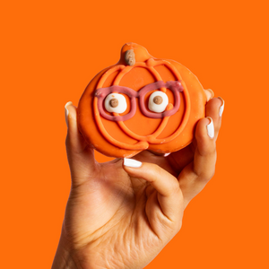 Pumpkins with Specs Appeal  | Fall