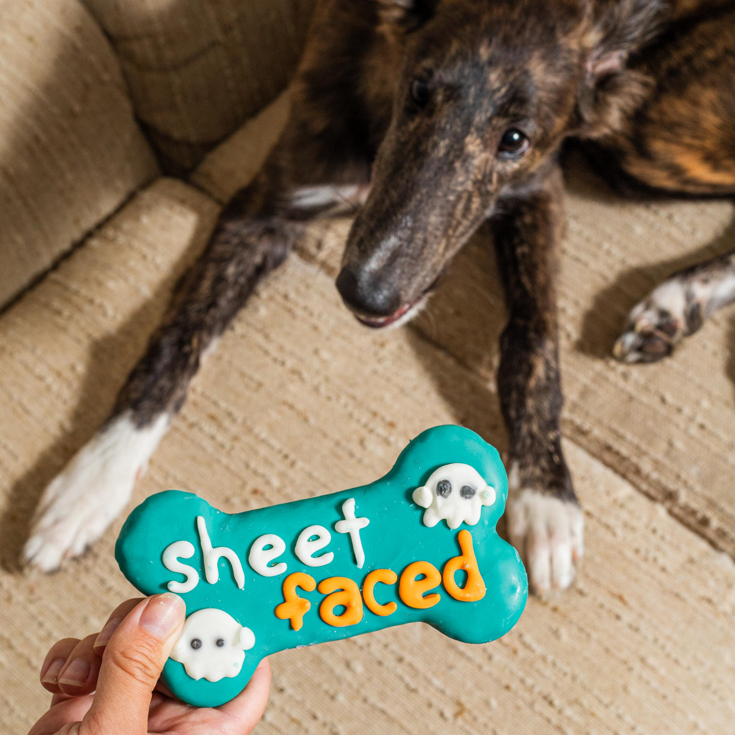 Sheet Faced 6 Inch Bone | Halloween