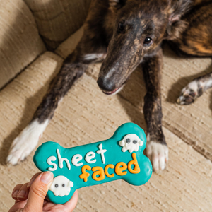 Sheet Faced 6 Inch Bone | Halloween