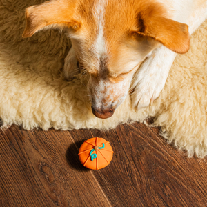 Let's Give 'Em Pumpkin To Talk About | Fall