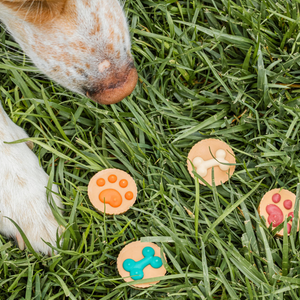 Paws up for Bones PB Cups  | Fall