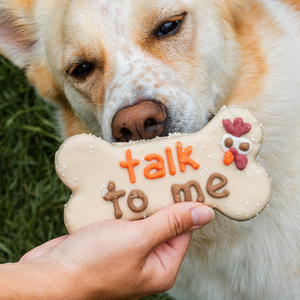 Talk Turkey to Me 6 Inch Bone  | Fall