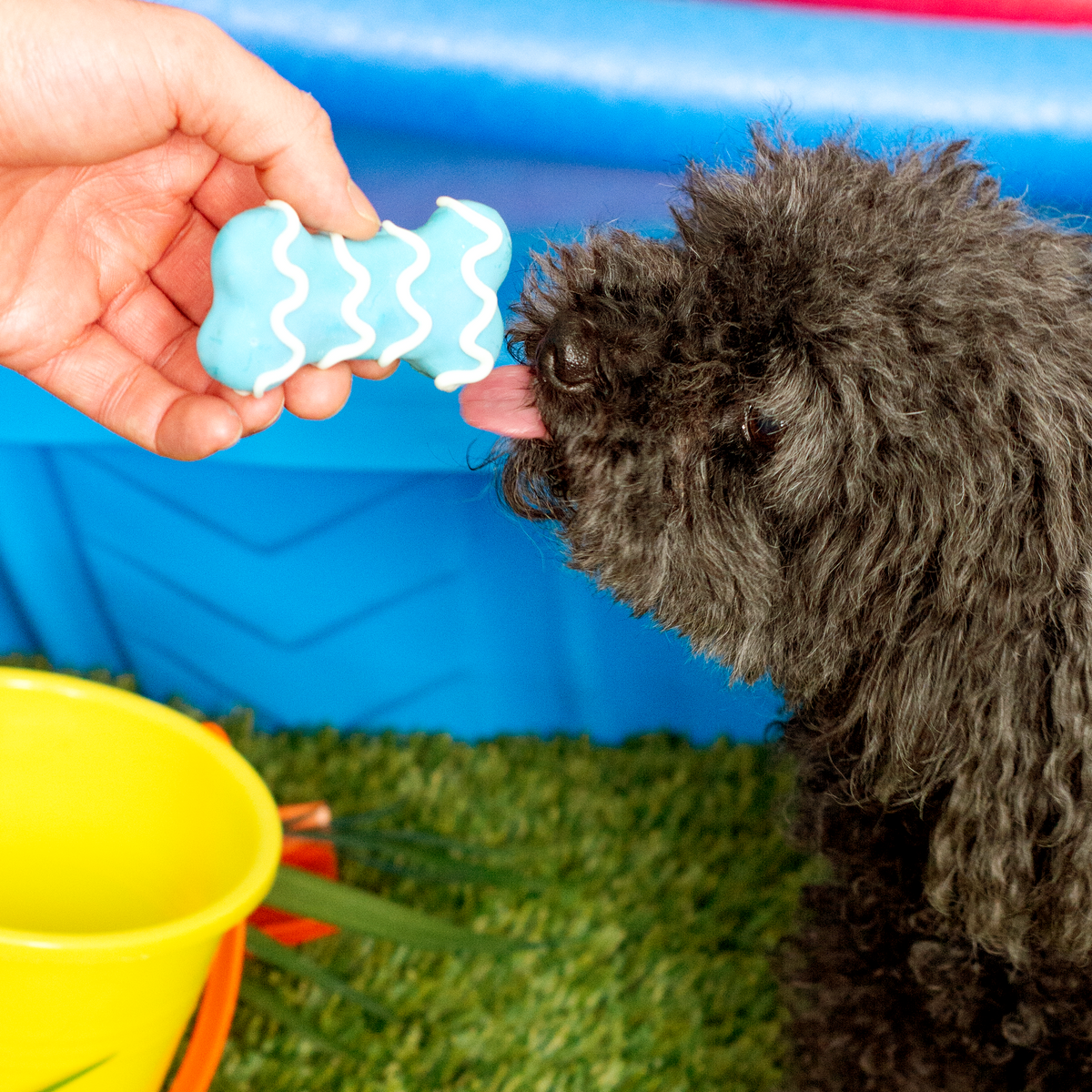 Whirlpool Wavey Bones | Summer Pool Pawty