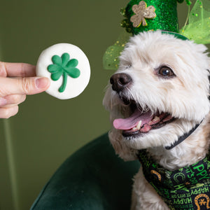 Lucky Bites | St. Paddy's Day