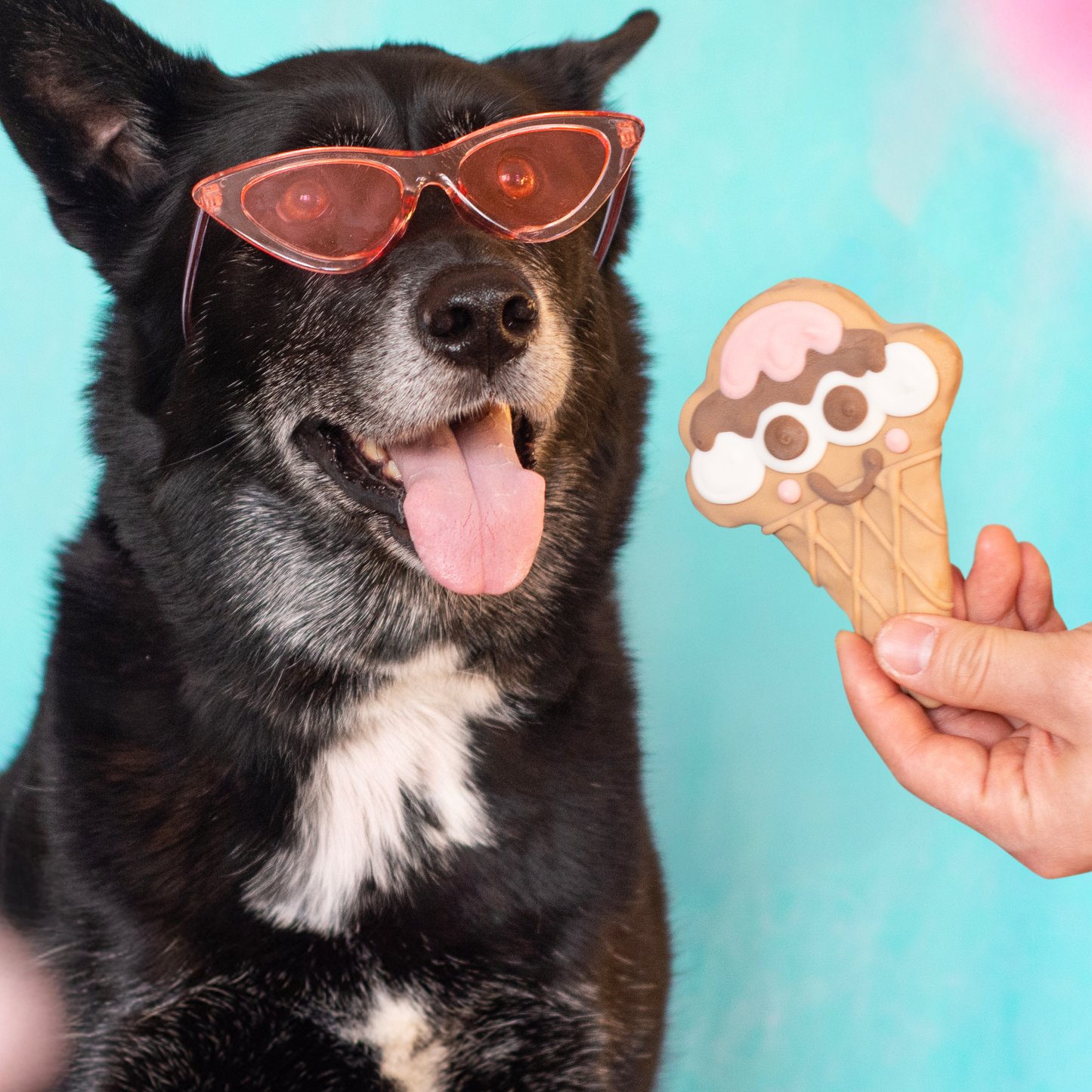 Neapaw-litan Cone | Summer Eats
