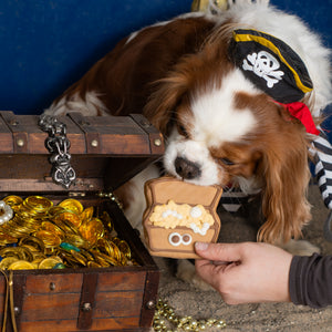 NATURAL From Ruff to Riches | Summer Pirate