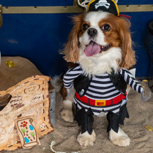 Sniffin' for Treasure | Summer Pirate