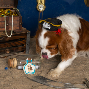 Bark if Found Bottle | Summer Pirate