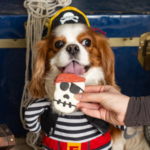 NATURAL Ruff Seas Pirate | Summer Pirate