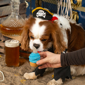 Jaws Ahoy! Cupcake | Summer Pirate