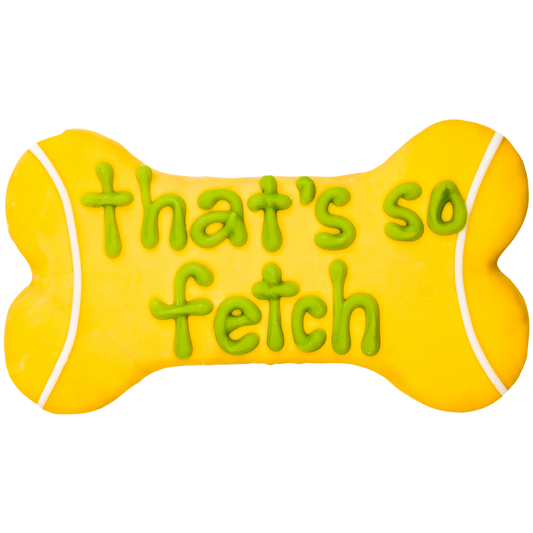 thats so fetch bone cookie for dogs